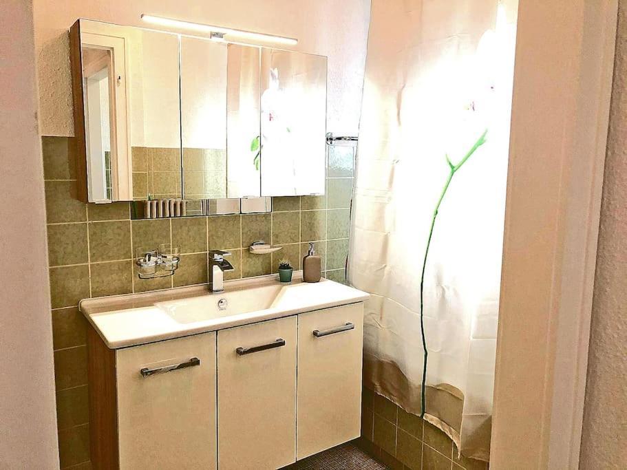 Inn Joy Apartments - Rorschach Mit Panoramasicht 외부 사진