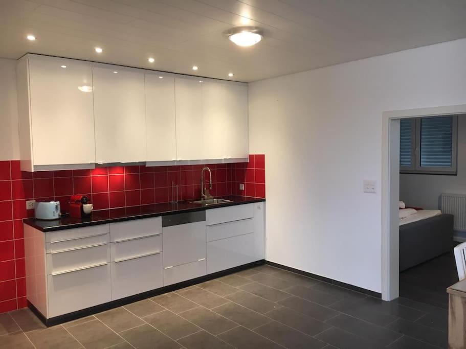 Inn Joy Apartments - Rorschach Mit Panoramasicht 외부 사진